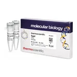 Thermo Fisher Scientific SgeI (3 U/μL)