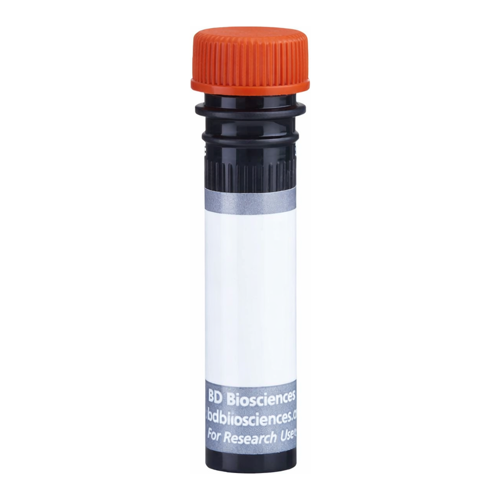 BD BUV615 Biosimilar Anti-Human CD20