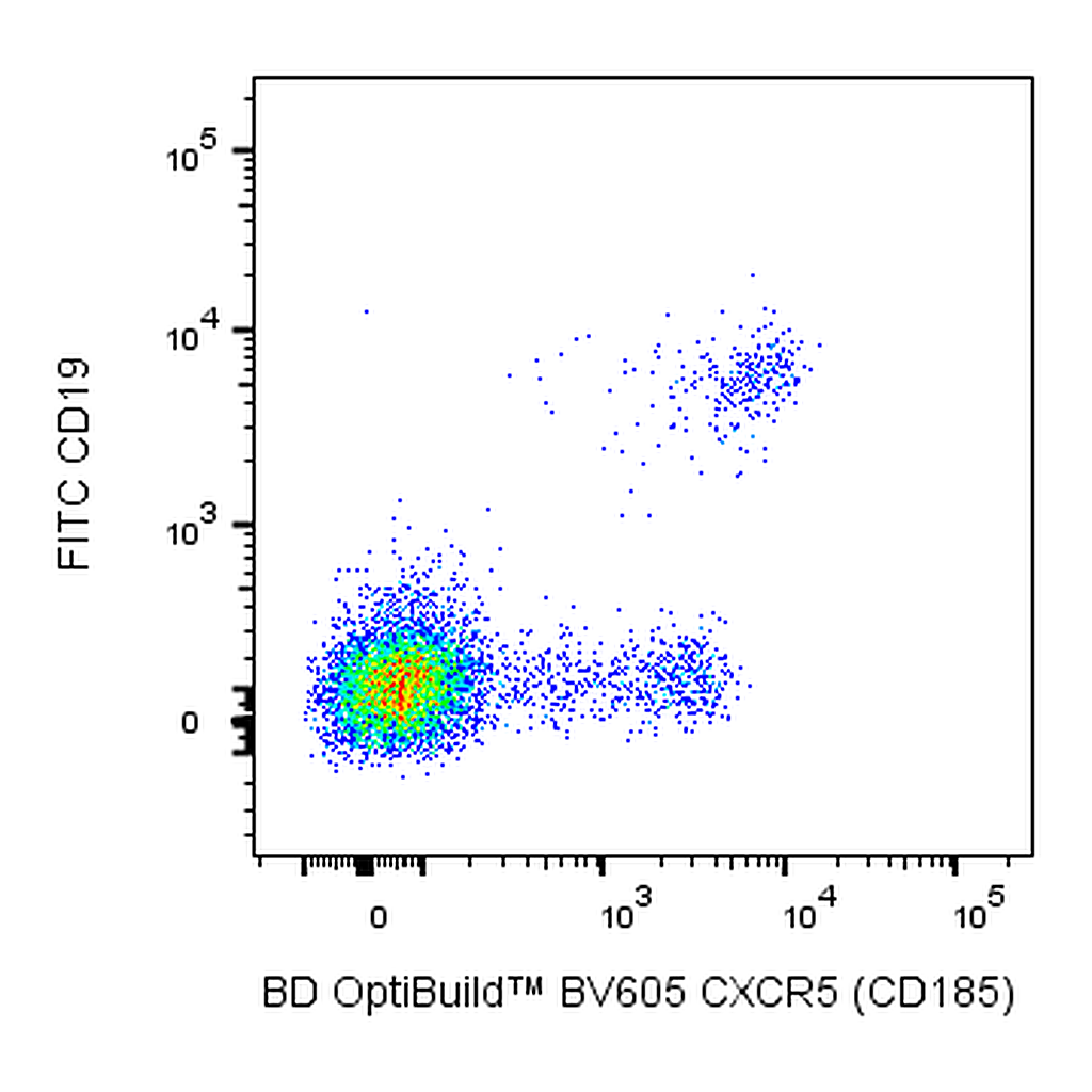 BD BV605 Rat Anti-Human CXCR5 (CD185)