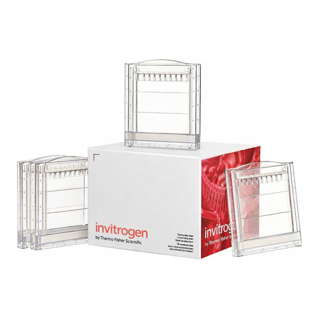 Thermo Fisher Scientific Novex Tris-Glycine ZOOM Mini Protein Gel, 4 to 20%, 1.0 mm, IPG-well