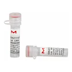 Merck MISSION(R) esiRNA