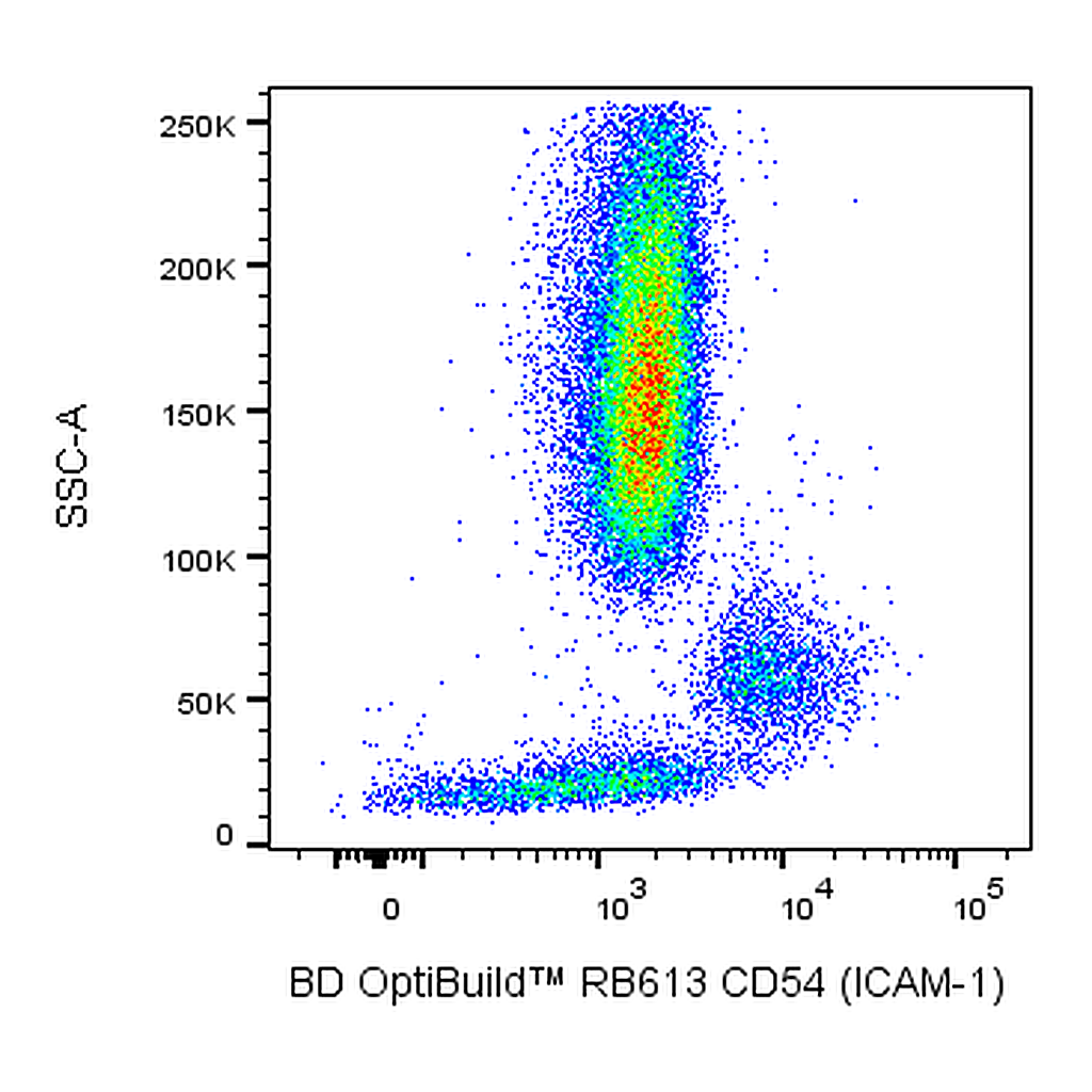 BD RB613 Mouse Anti-Human CD54 (ICAM-1)