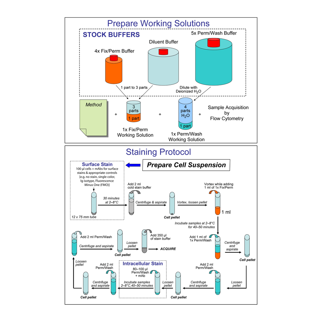 BD Transcription Factor Buffer Set