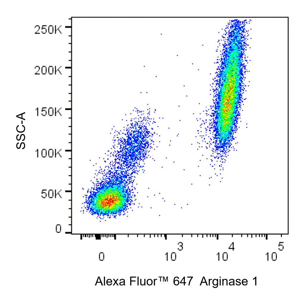 BD Alexa Fluor 647 Mouse Anti-Human Arginase 1