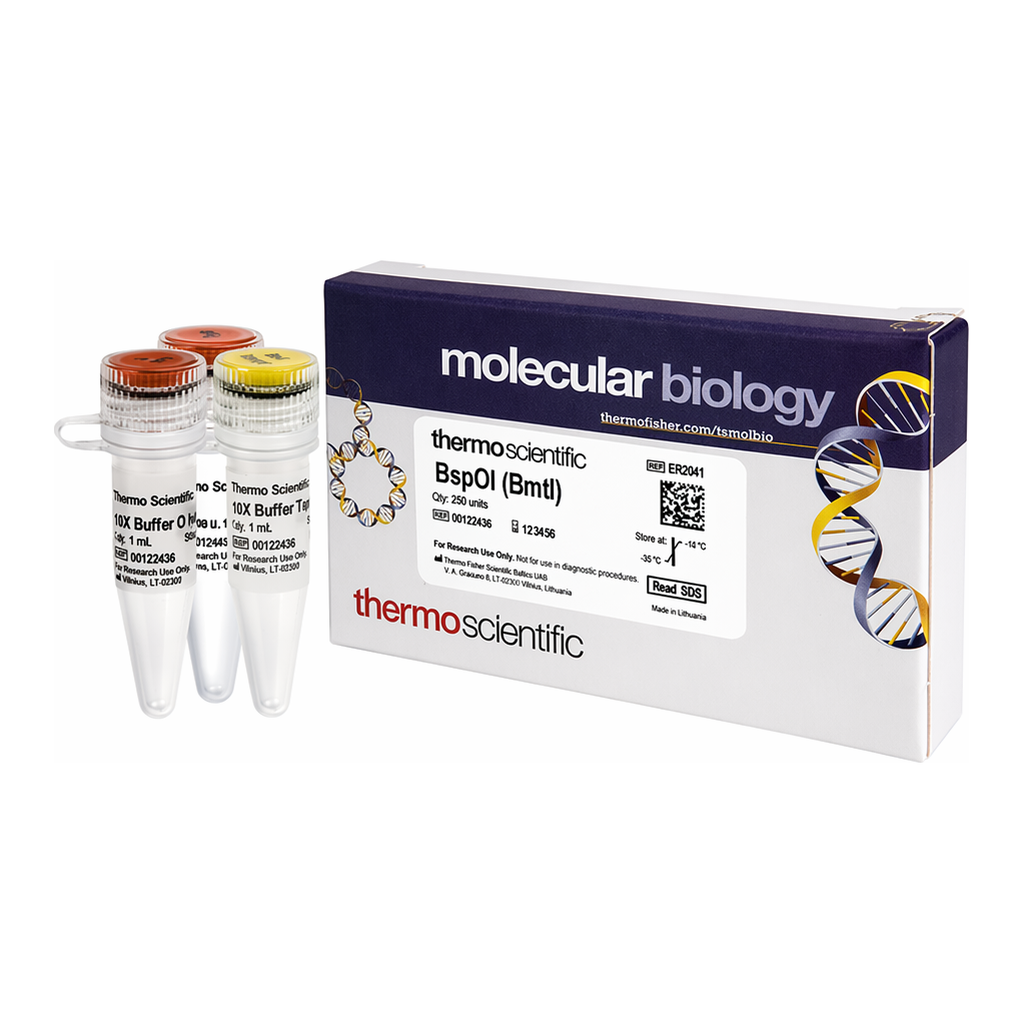 Thermo Fisher Scientific BspOI (BmtI) (10 U/&mu;L)