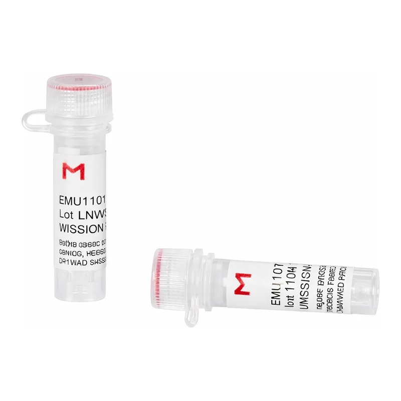 Merck ESIRNA MOUSE SMAD3