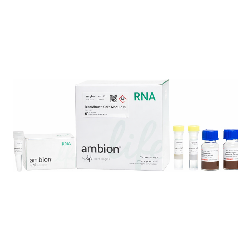 Thermo Fisher Scientific RiboMinus Eukaryote Kit v2