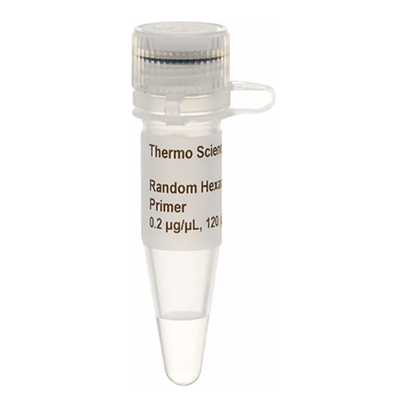 Thermo Fisher Scientific Random Hexamer Primer