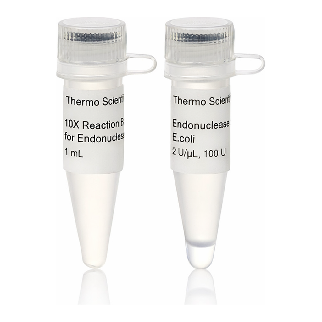 Thermo Fisher Scientific Endonuclease IV, E.coli (2 U/μL)