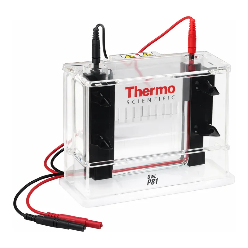 Thermo Fisher Scientific Owl P81 Single-Sided Vertical Electrophoresis System, 10 x 10cm gel size, 150mL buffer volume