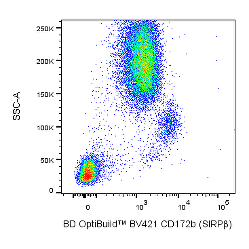BD BV421 Mouse Anti-Human CD172b