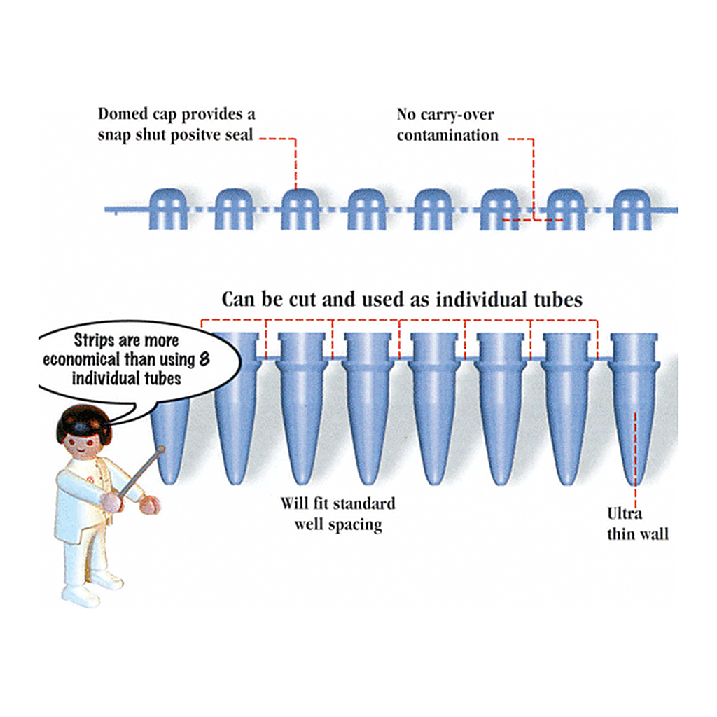 SIMPORT PCR Reaction Strips