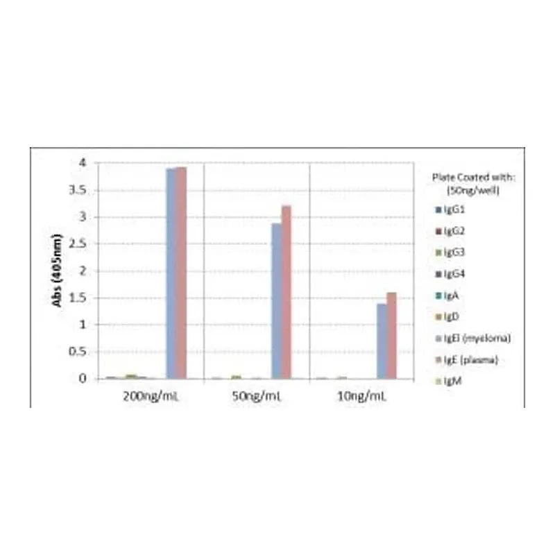 Thermo Fisher Scientific Rabbit anti-Human IgE Recombinant Secondary Antibody