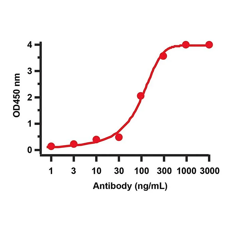 Merck Anti-SARS-CoV-2 (COVID-19) NSP2 antibody produced in rabbit