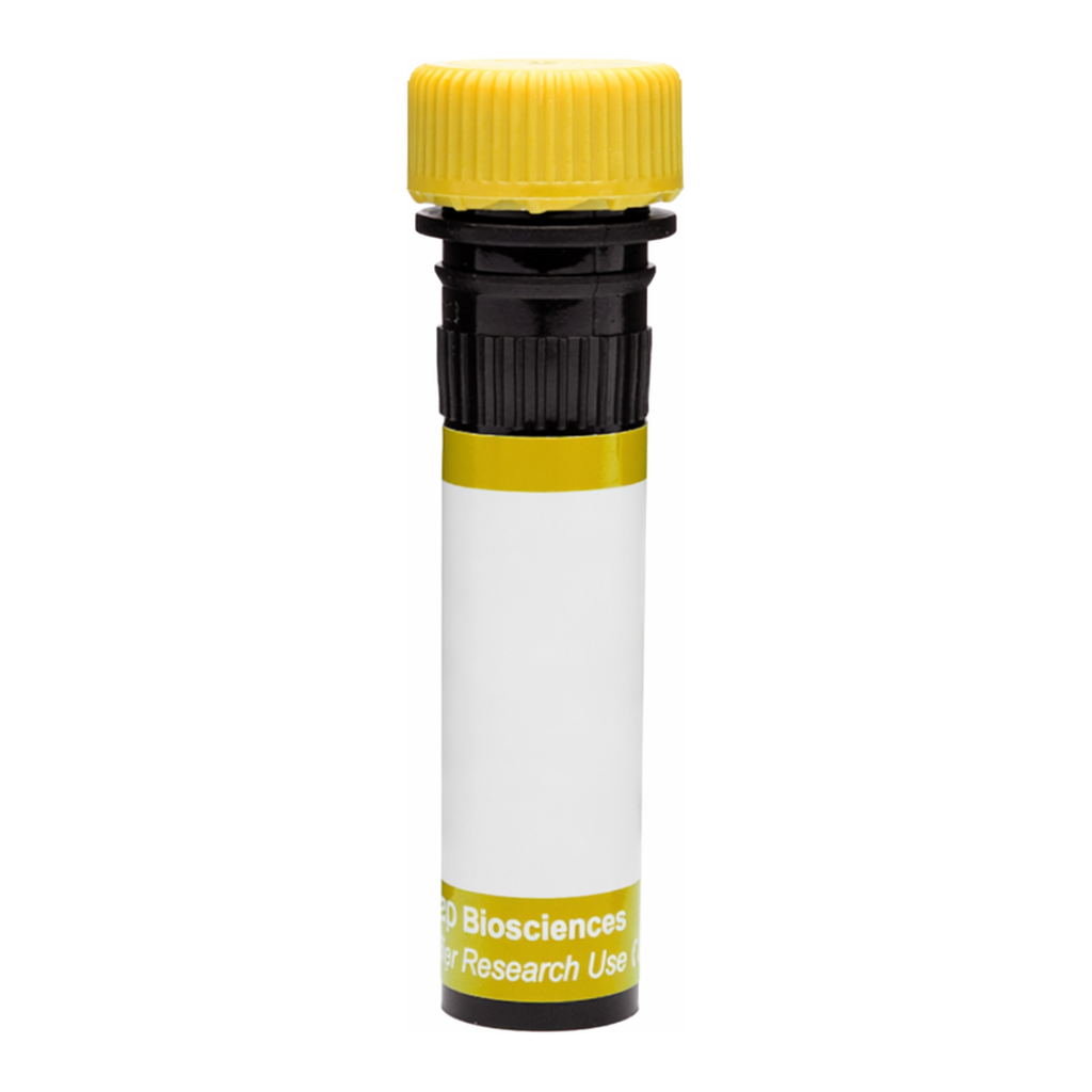BD RY586 Rat IgG2a, κ Isotype Control