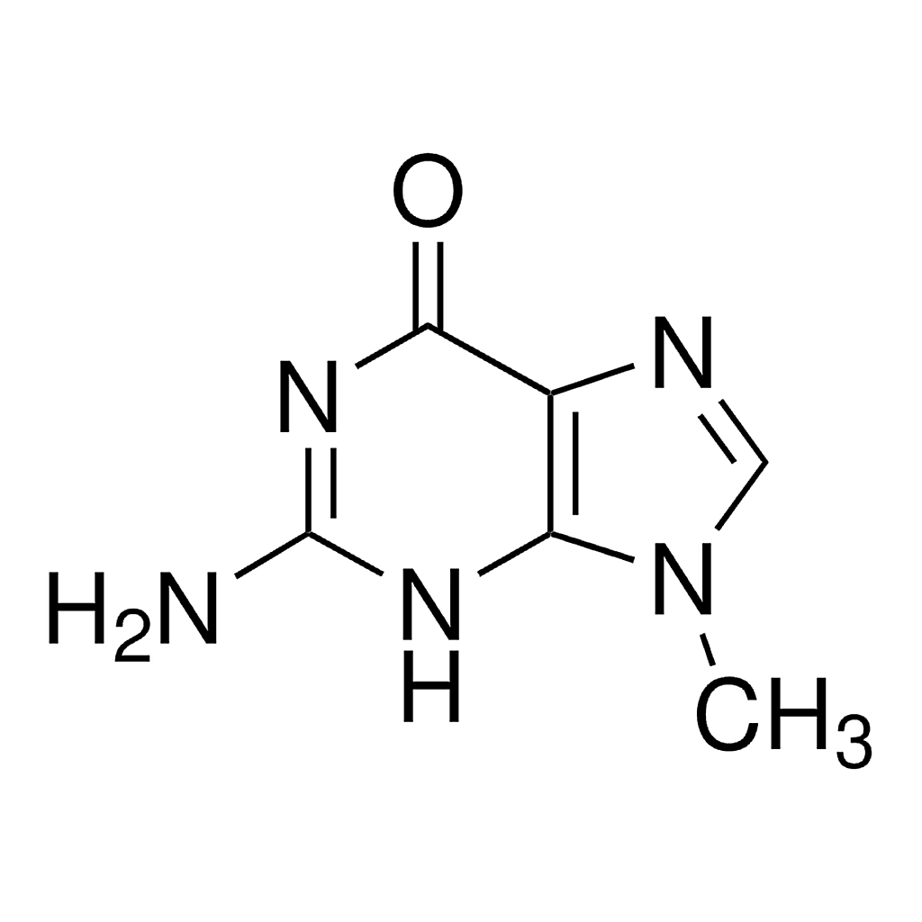 Merck 9-Methylguanine