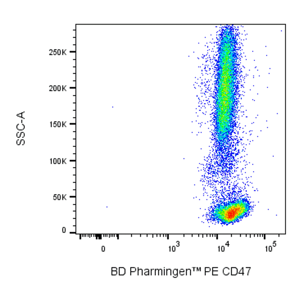BD PE Mouse Anti-Human CD47