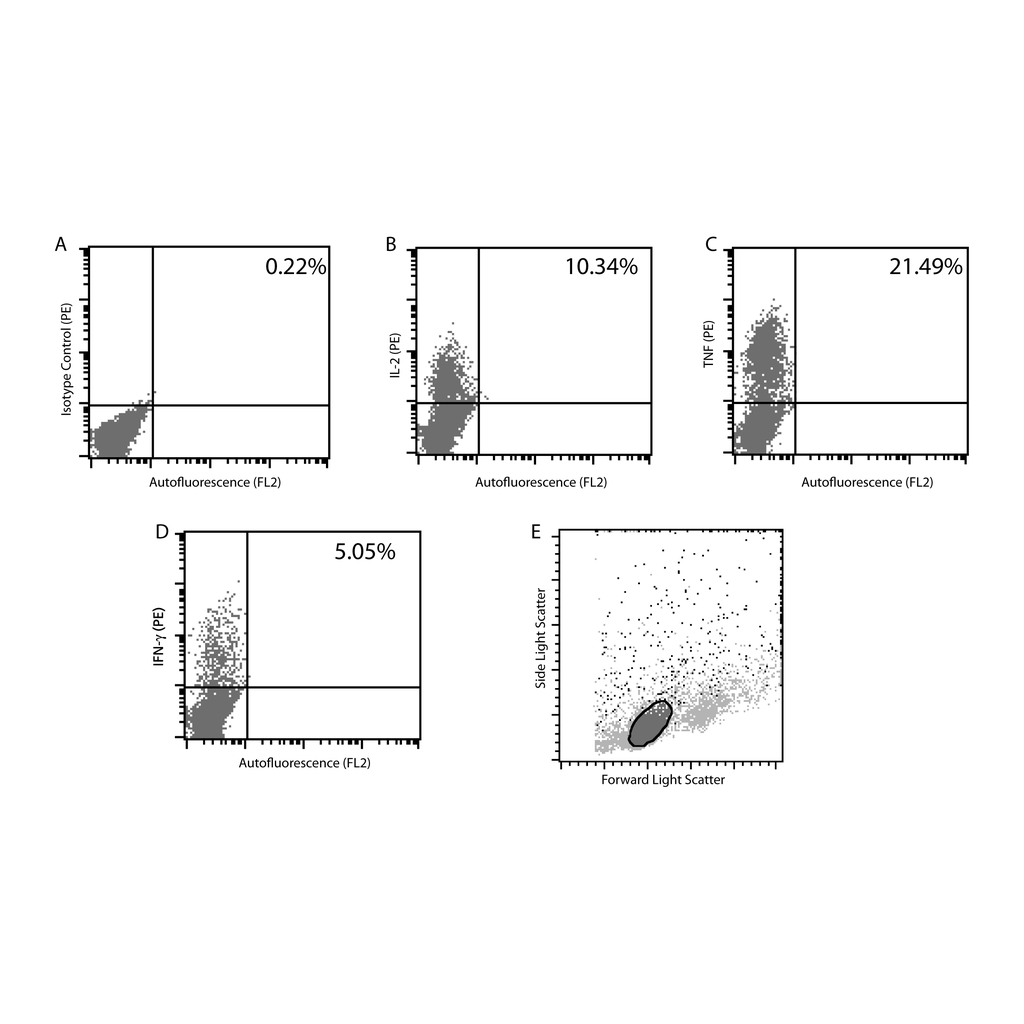 BD MiCK-1 Mouse Cytokine Positive Control Cells