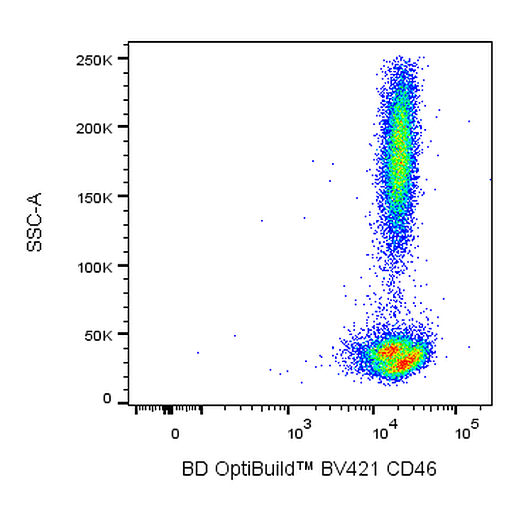 BD BV421 Mouse Anti-Human CD46