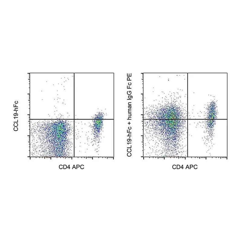 Thermo Fisher Scientific Goat anti-Human IgG Fc Secondary Antibody, PE, eBioscience