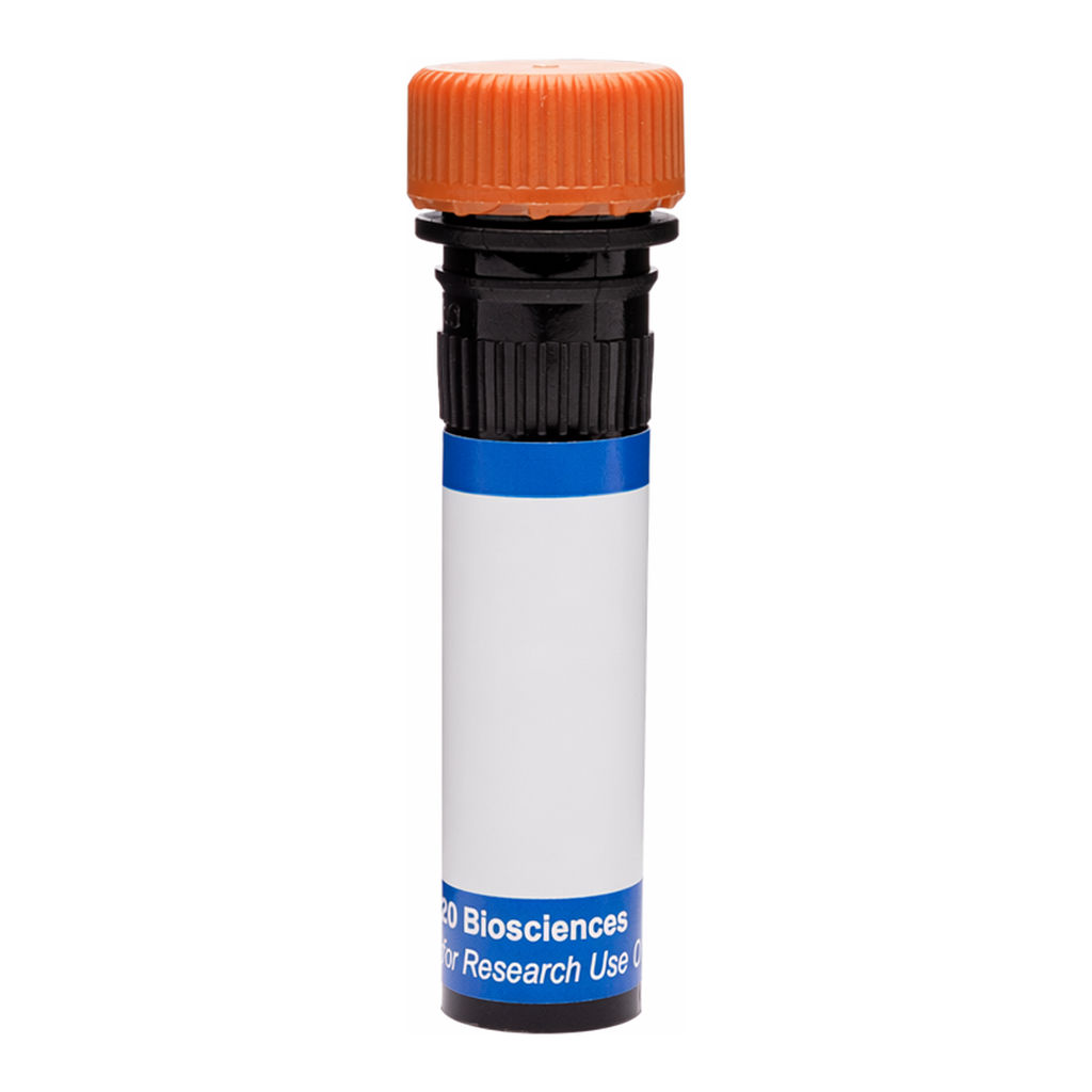 BD RB613 Rat Anti-Mouse Delta-Like Protein 1 (DLL1)