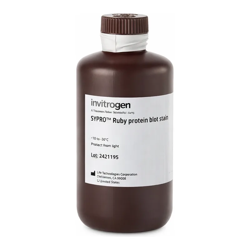 Thermo Fisher Scientific SYPRO Ruby Protein Blot Stain
