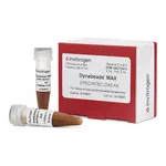 Thermo Fisher Scientific Dynabeads MAX EPEC/VTEC O45 Kit, 100 Reactions