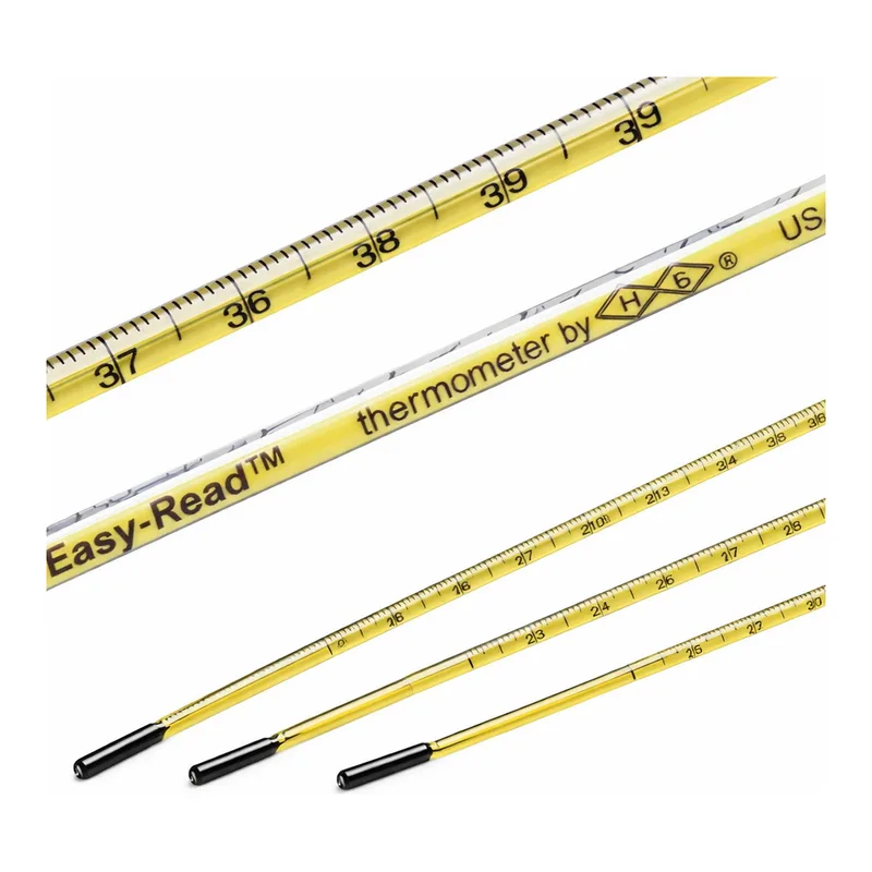 Merck Easy-Read(R) thermometer