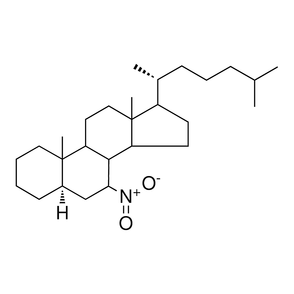 Merck 7-BETA-NITRO-5-ALPHA-CHOLESTAN - 1 MG&