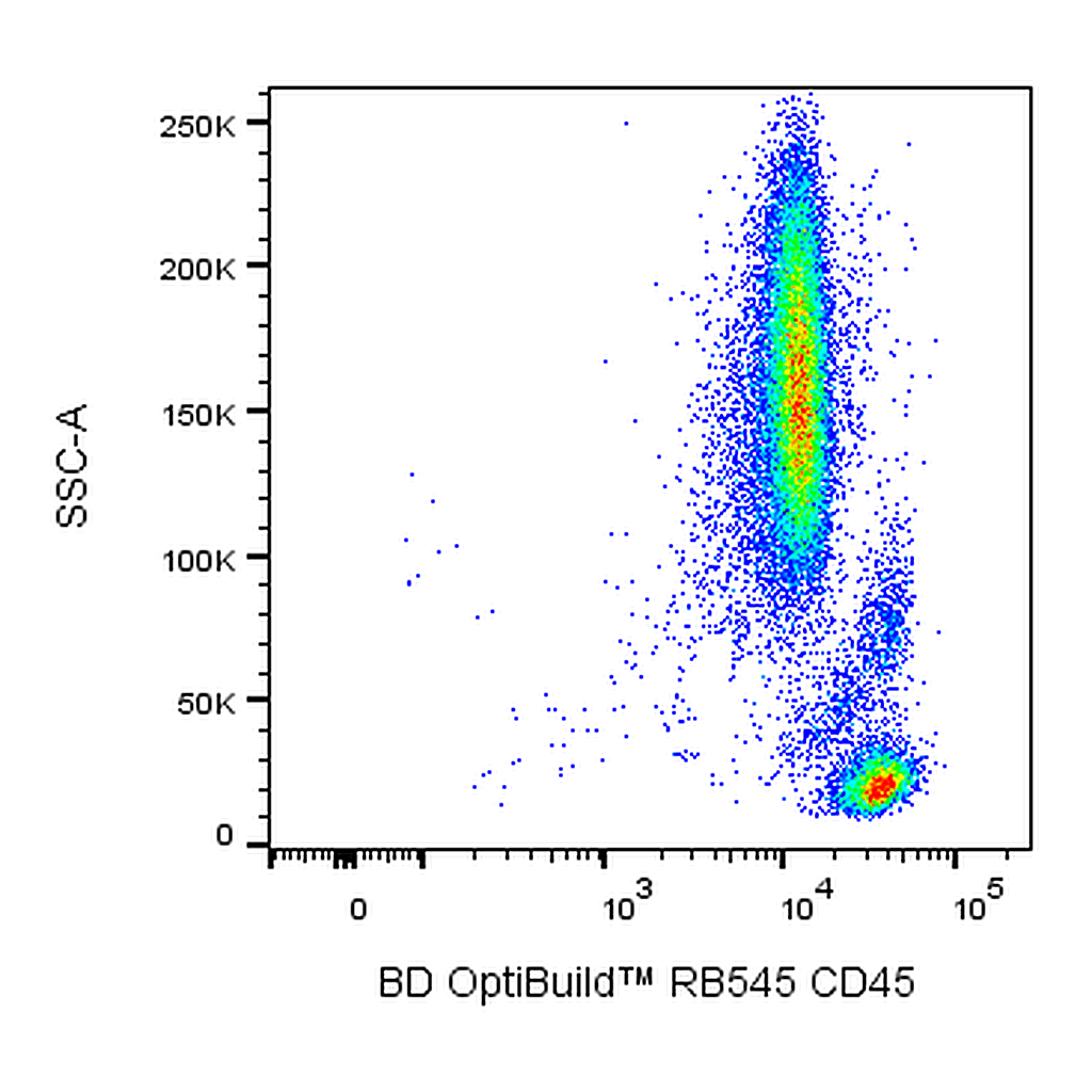 BD RB545 Mouse Anti-Non-Human Primate CD45