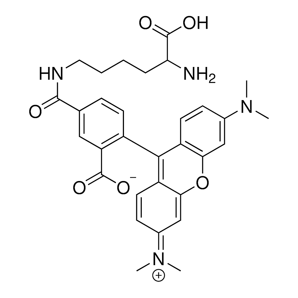 Merck Rhodamine labeled D-Lysine