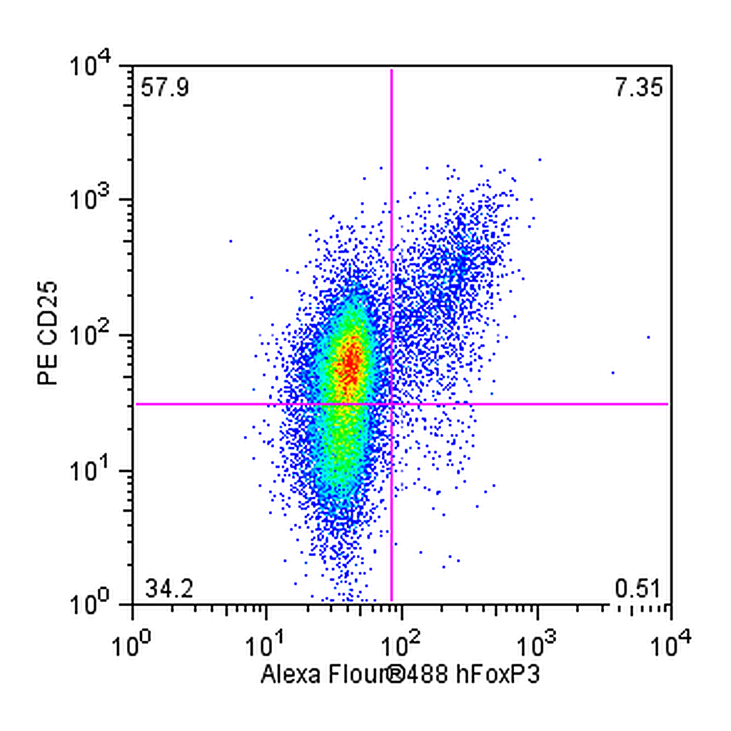 BD FoxP3 Staining Kit - Alexa Fluor® 488 FoxP3, CD4, CD25
