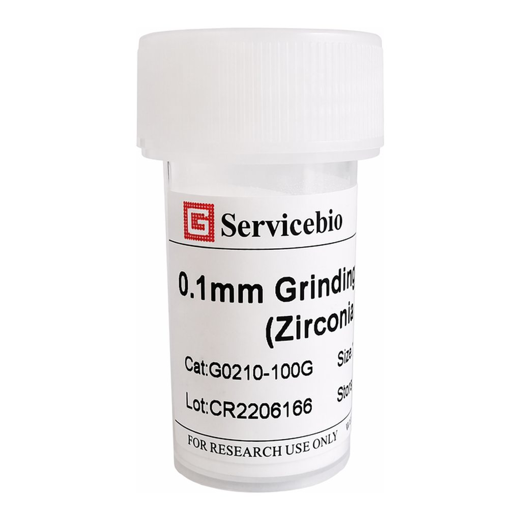 Servicebio Grinding Beads (Zirconia)