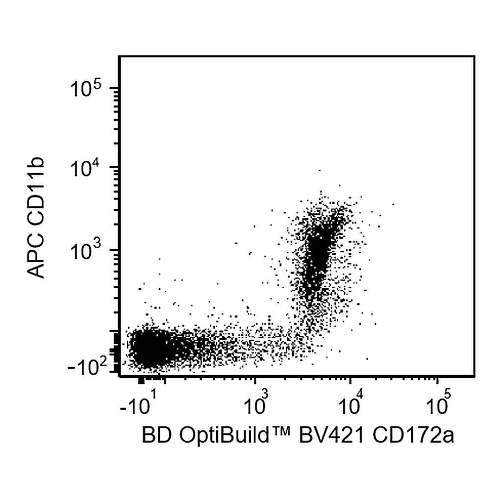 BD BV421 Rat Anti-Mouse CD172a