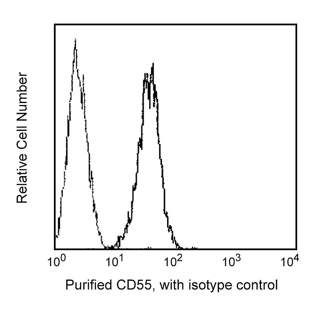 BD Purified Mouse Anti-Human CD55