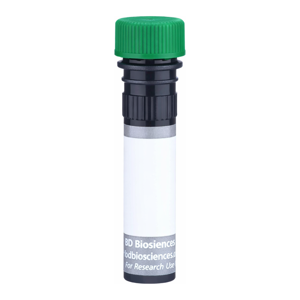 BD BUV563 Mouse Anti-Mouse Vβ 17[a] T-Cell Receptor