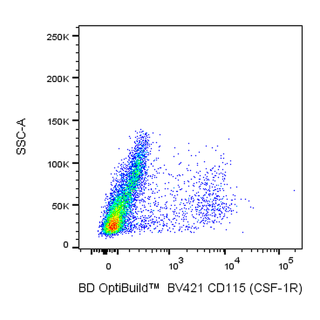 BD BV421 Rat Anti-Mouse CD115 (CSF-1R)