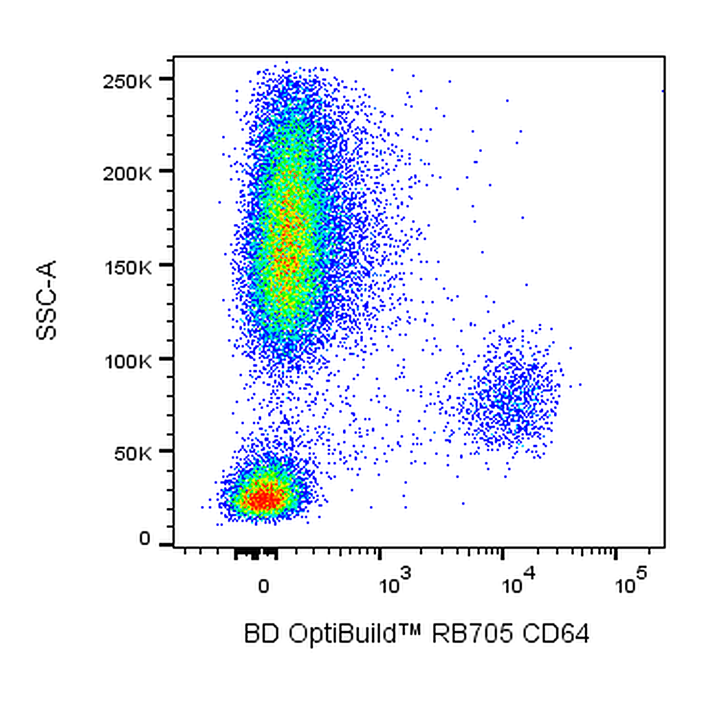 BD RB705 Mouse Anti-Human CD64