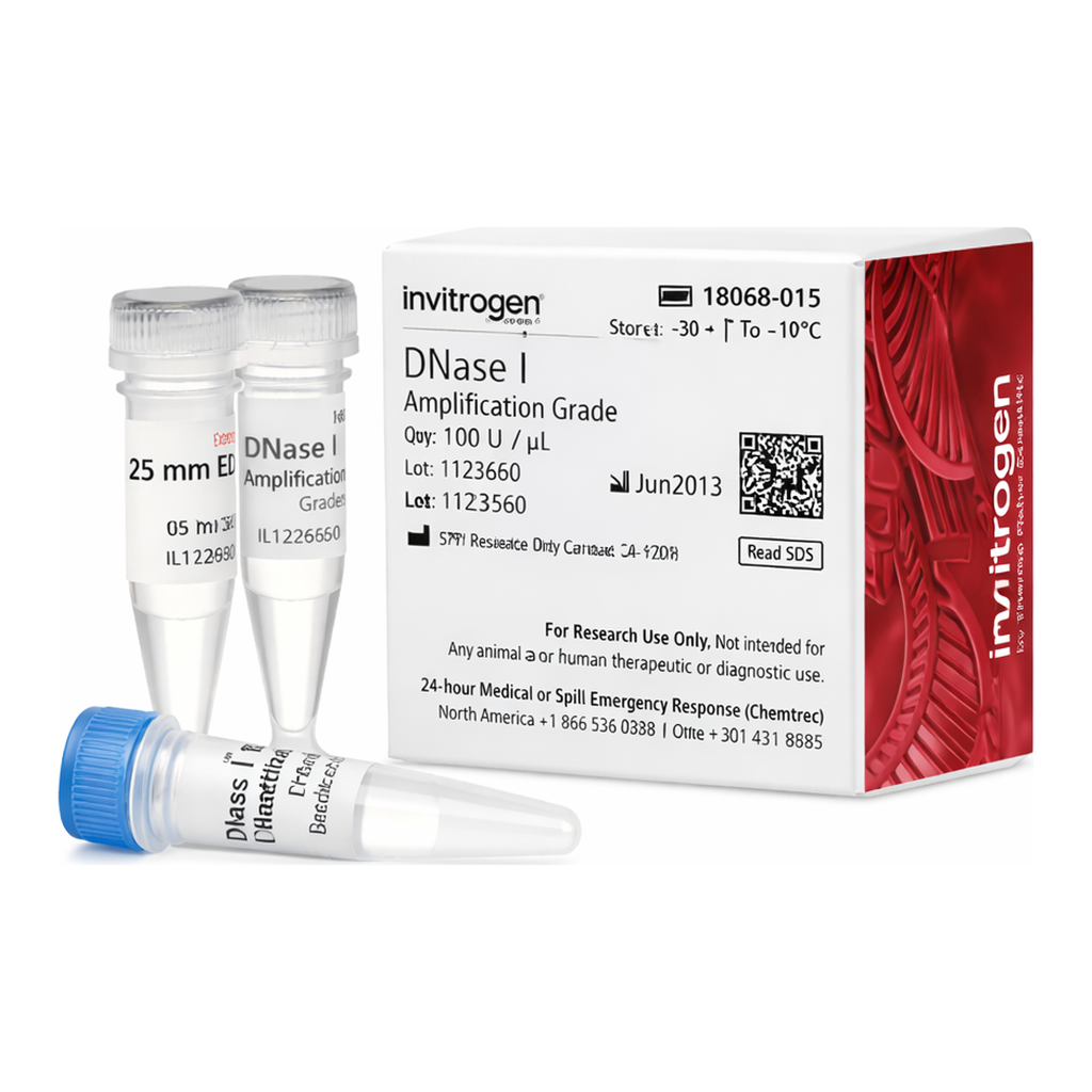 Thermo Fisher Scientific DNase I, Amplification Grade