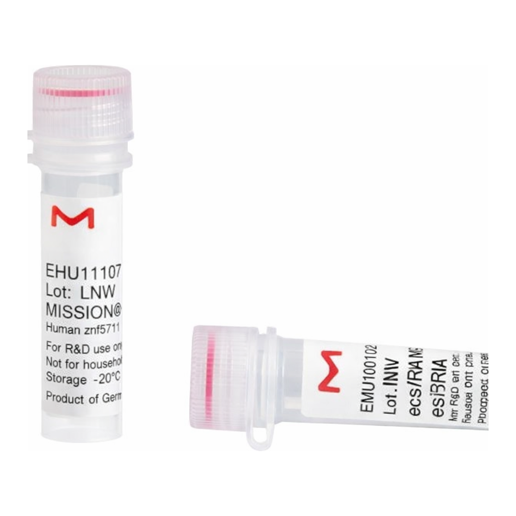 Merck MISSION(R) esiRNA