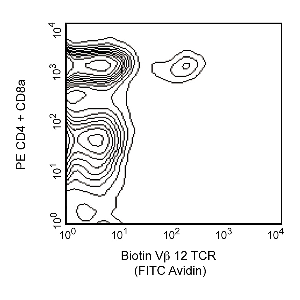 BD Biotin Mouse Anti-Mouse Vβ 12 T-Cell Receptor