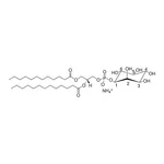 Merck 12:0-13:0 PI