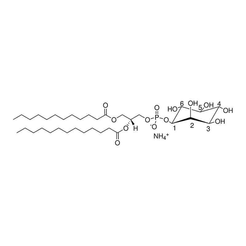 Merck 12:0-13:0 PI