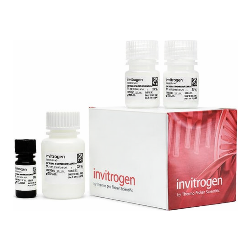 Thermo Fisher Scientific Qubit Protein BR Assay Kit, 100 Assays