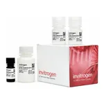 Thermo Fisher Scientific Qubit Protein BR Assay Kit, 100 Assays