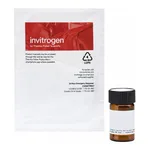 Thermo Fisher Scientific SP-DiIC18(3) (1,1`-Dioctadecyl-6,6`-Di(4-Sulfophenyl)-3,3,3`,3`-Tetramethylindocarbocyanine)