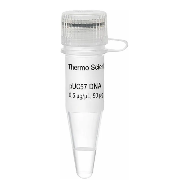 Thermo Fisher Scientific pUC57 DNA
