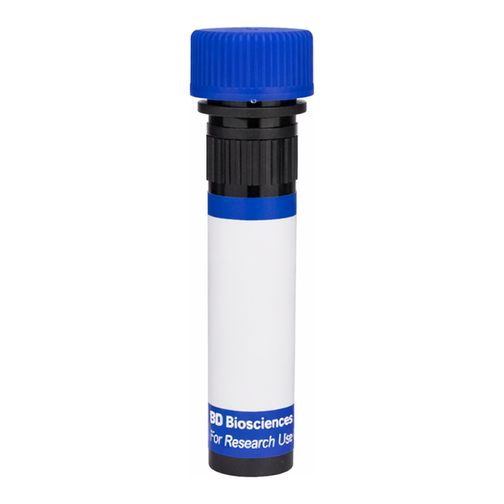 BD RB780 Rat Anti-Mouse CD24 (Heat Stable Antigen)
