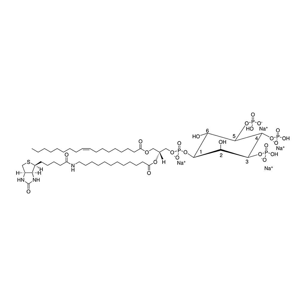 Merck 18:1-12:0 Biotin PIP3