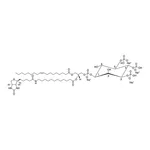 Merck 18:1-12:0 Biotin PIP3